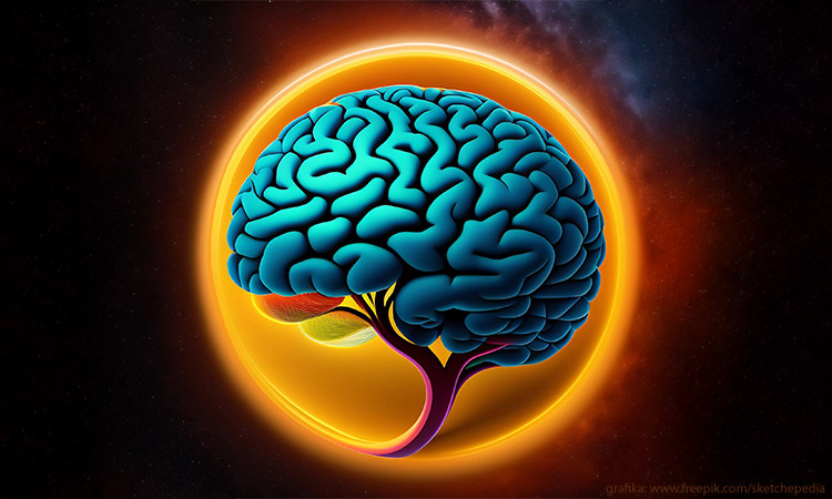 Tłumaczenia czy transkreacja?